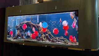 SEA WATER AQUARIUM