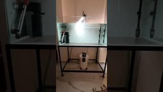 FRESHWATER AQUARIUM