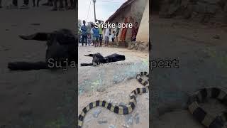 REPTILES