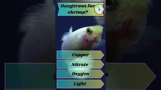 FRESHWATER AQUARIUM