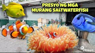 SEA WATER AQUARIUM