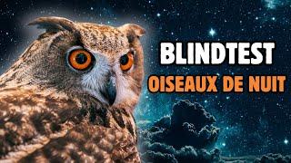 OISEAUX