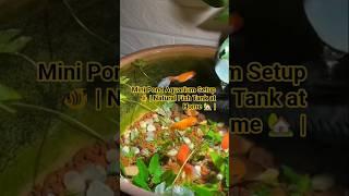 AQUARIUM PLANTS